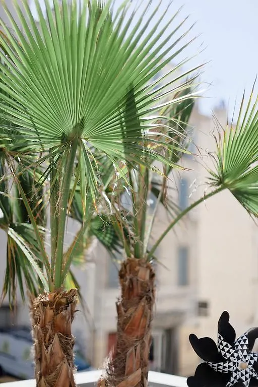 Hébergement de vacances L'Orangeraie et la Palmeraie d'Endoume Marseille